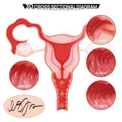 Мастурбатор Kokos 004 Vailla ONAHOLE Real Hips SX3237 фото