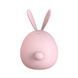 Вакуумний стимулятор з вібрацією KISTOY Miss KK Pink SO3620 фото 3
