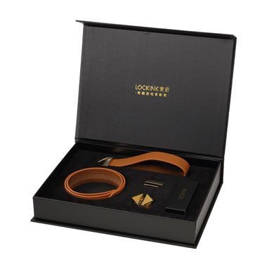 Нашийник з повідцем LOCKINK Tied Collar with Leash Set, коричневий, ланцюг зі шкіряною петлею та карабіном SX0828 фото