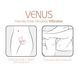Смарт-вібратор для пар Adrien Lastic Venus + APP, подвійний, можна носити під одягом, 10 режимів SX1283 фото 8